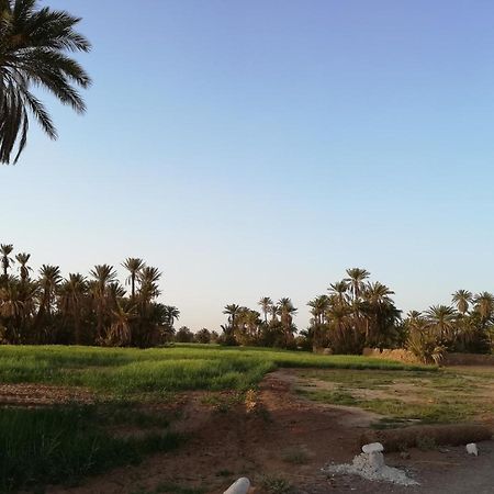 Kasbah Les Alizes Du Desert M'Hamid Buitenkant foto