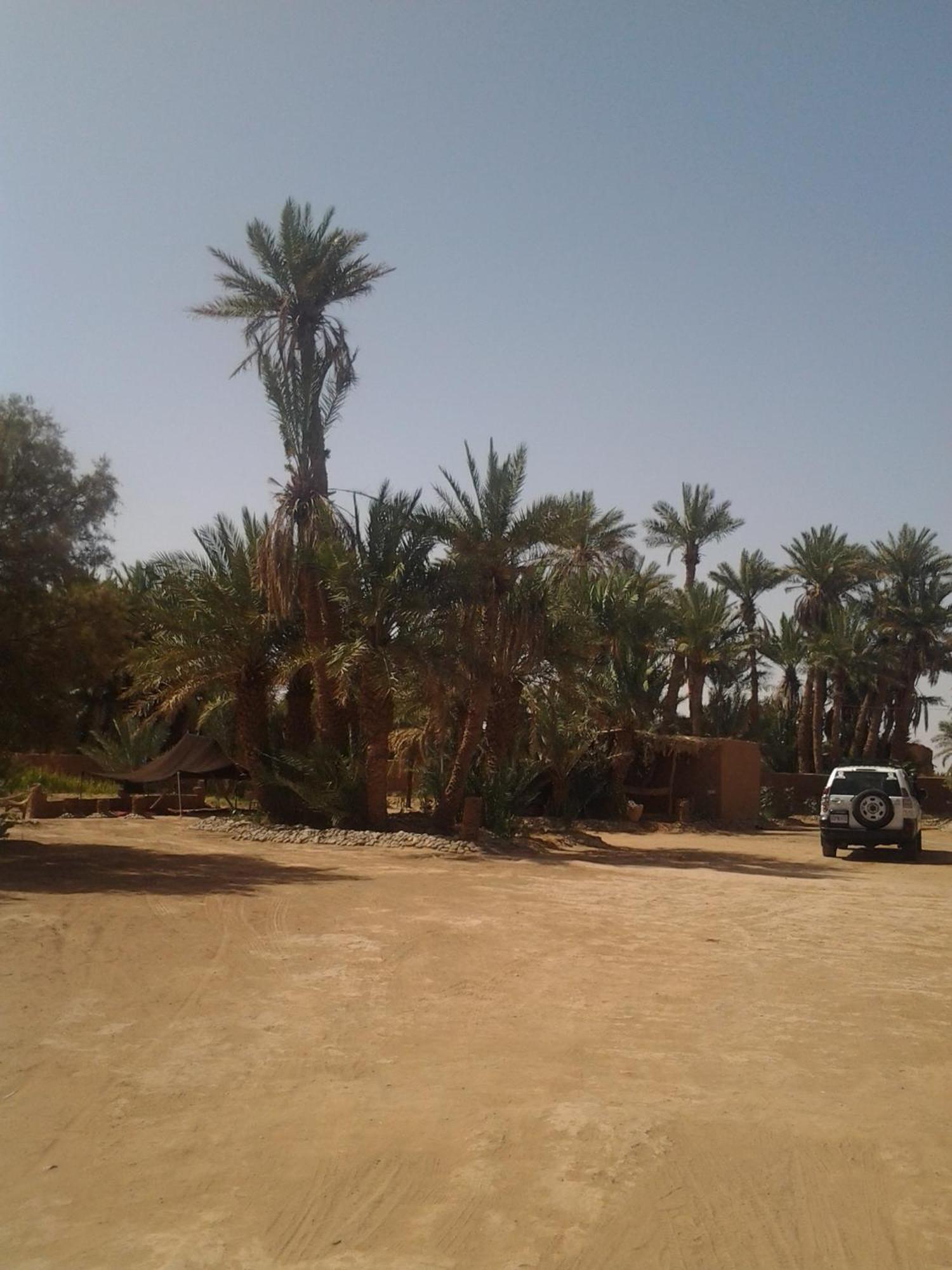 Kasbah Les Alizes Du Desert M'Hamid Buitenkant foto