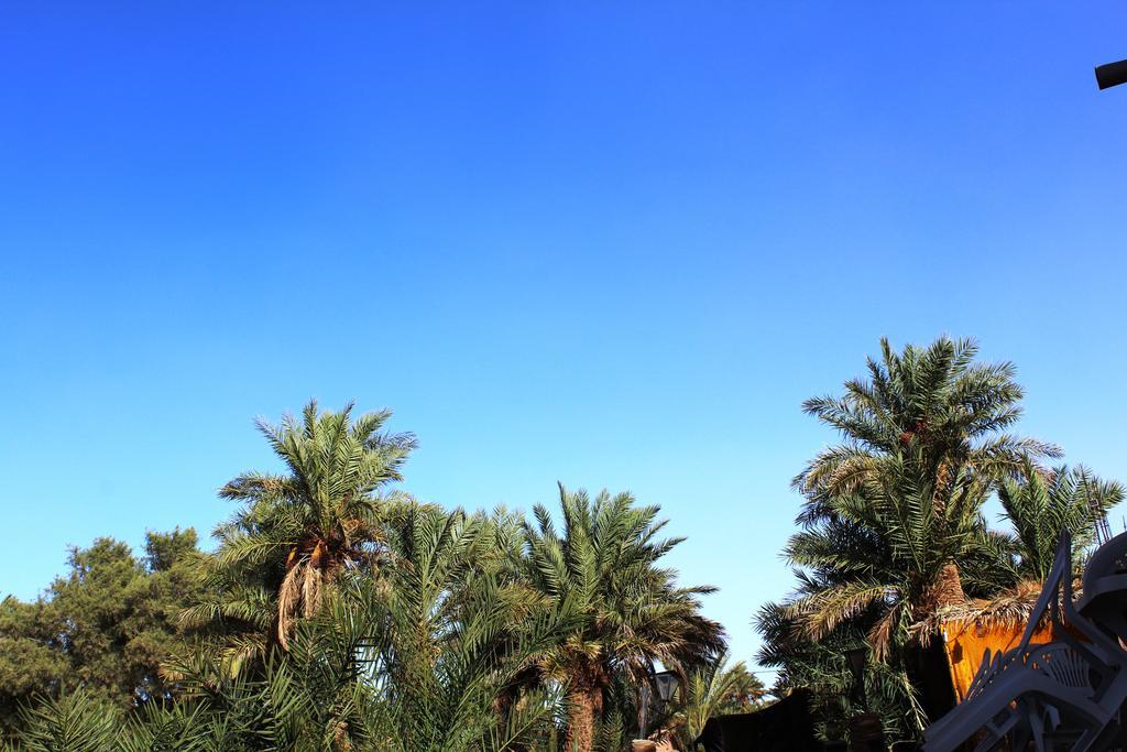 Kasbah Les Alizes Du Desert M'Hamid Buitenkant foto