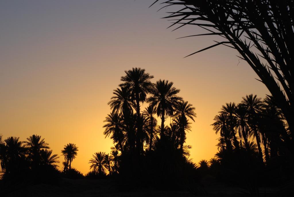 Kasbah Les Alizes Du Desert M'Hamid Buitenkant foto