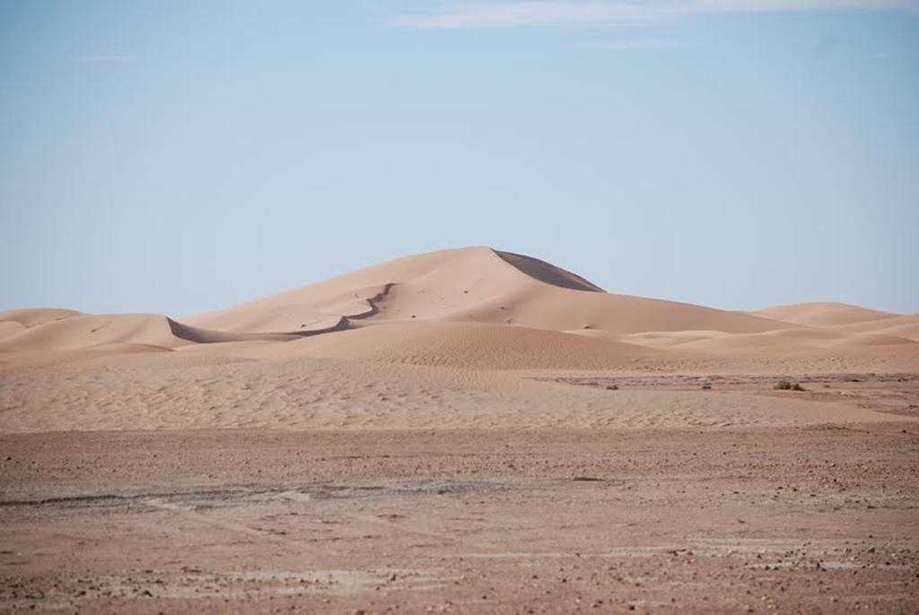 Kasbah Les Alizes Du Desert M'Hamid Buitenkant foto