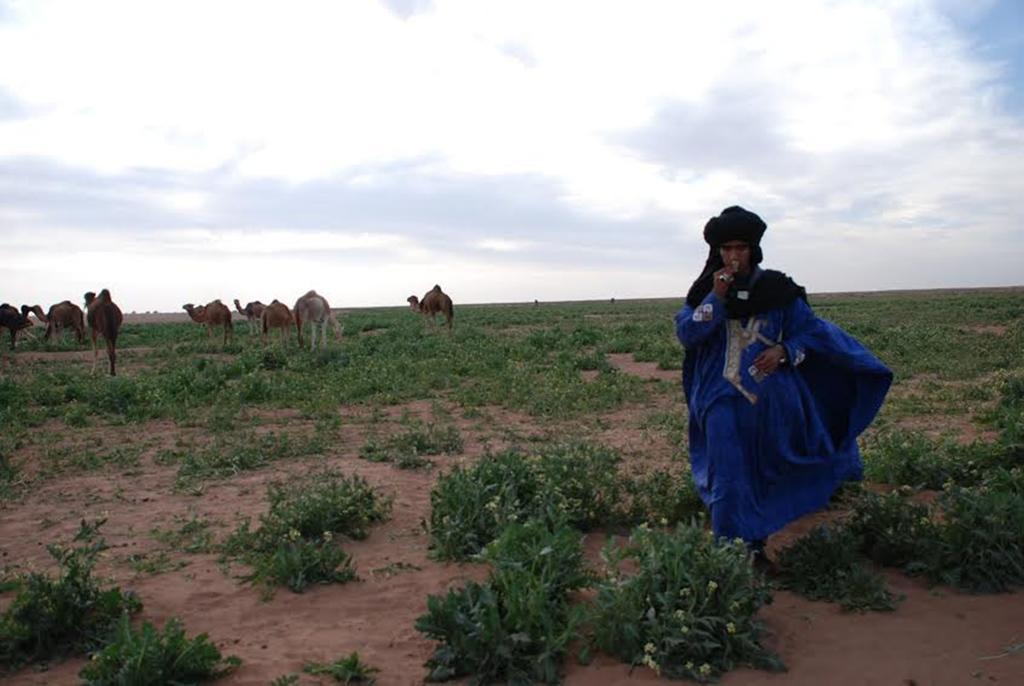 Kasbah Les Alizes Du Desert M'Hamid Buitenkant foto