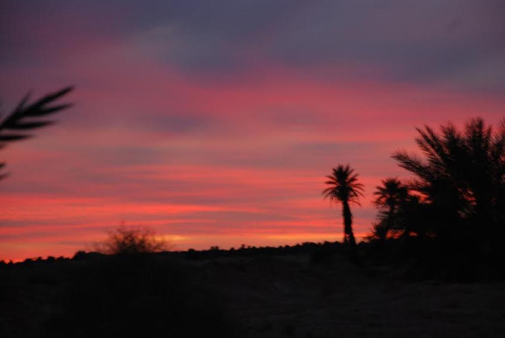 Kasbah Les Alizes Du Desert M'Hamid Buitenkant foto