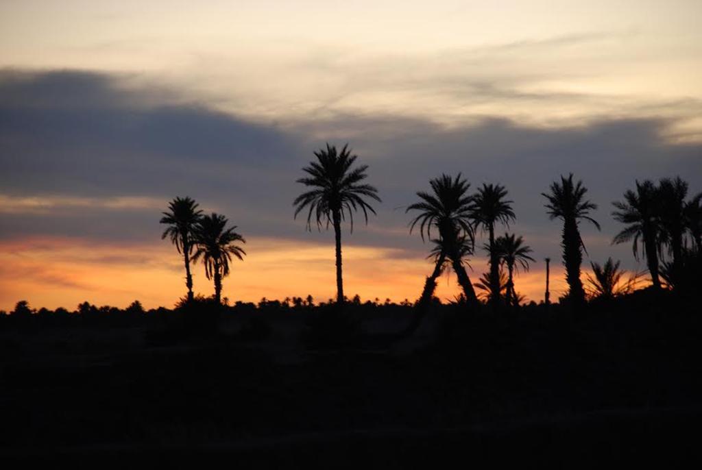 Kasbah Les Alizes Du Desert M'Hamid Buitenkant foto