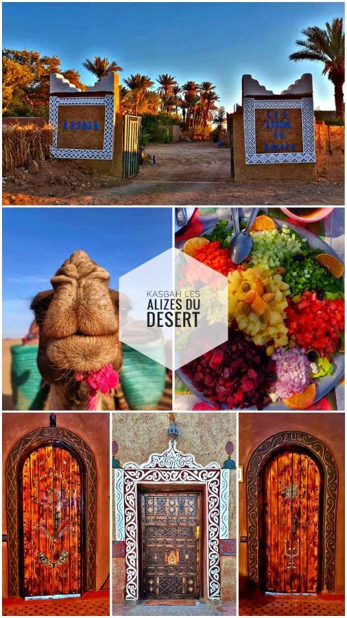 Kasbah Les Alizes Du Desert M'Hamid Buitenkant foto