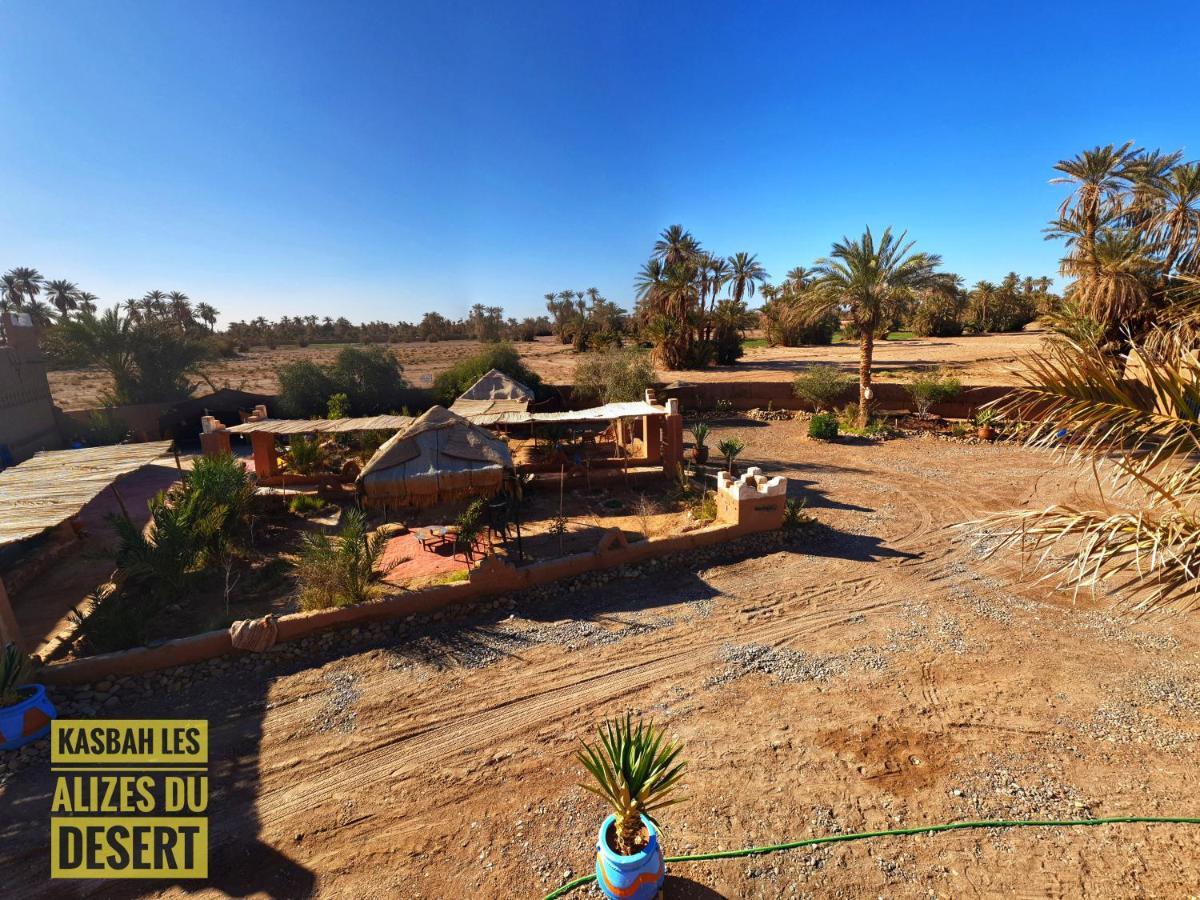 Kasbah Les Alizes Du Desert M'Hamid Buitenkant foto