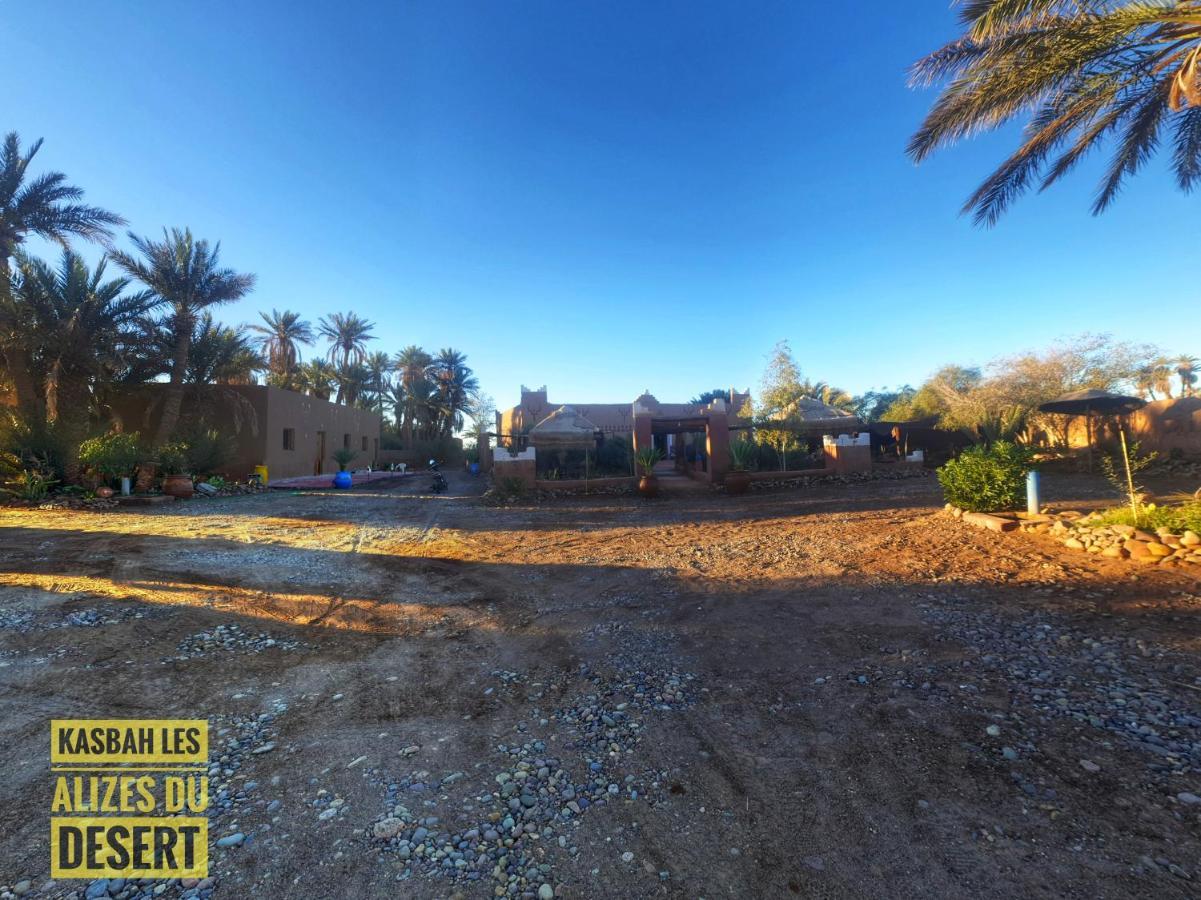 Kasbah Les Alizes Du Desert M'Hamid Buitenkant foto
